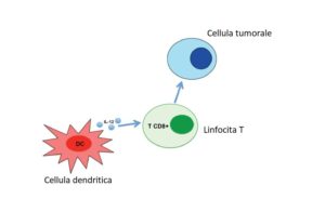 cellule dendritiche e IL-2 terapia cancro