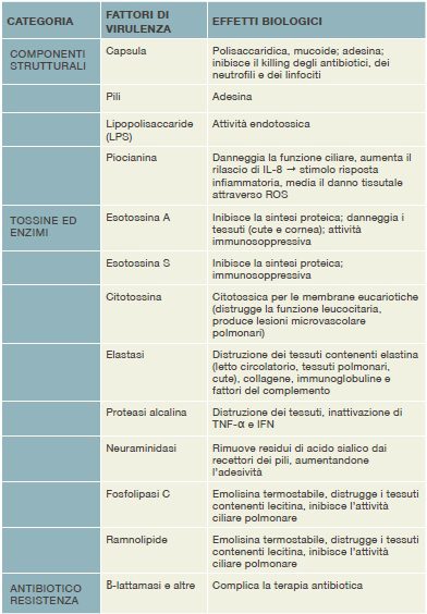 Figura 5 - Fattori di virulenza elencati per categoria di P. aeruginosa