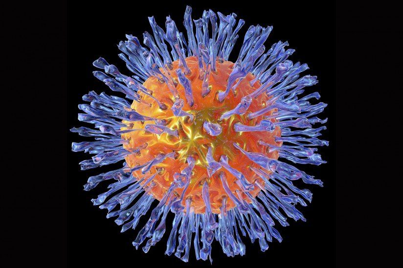 Figura 1: Herpesvirus