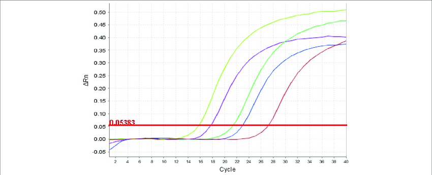 Figura 6 - Modello esemplificativo di una Real Time PCR per HCV