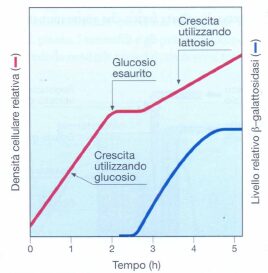 operone lac: In questo grafico è possibile osservare (in rosso) la crescita diauxica descritta da Monod.