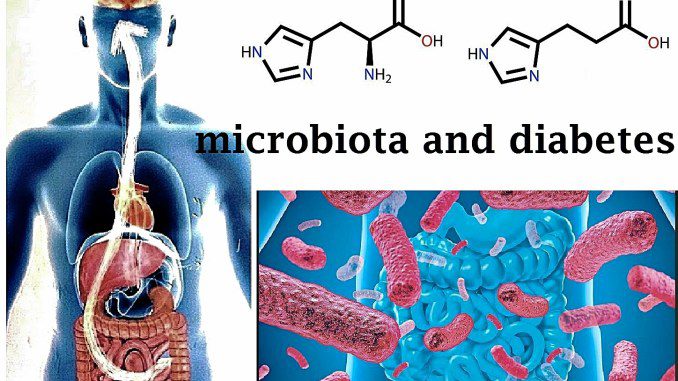 Rapporto microbiota e diabete 2