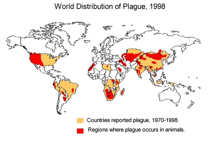 distribuzione mondiale della peste