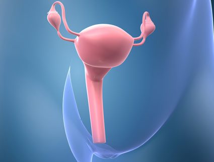 L'utero femminile è minacciato dalla carenza di linfociti T, senza i quali l'infezione da Papillomavirus provoca il 70% dei carcinomi alle cellule squamose cervicali.