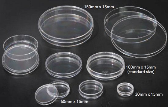Capsule Petri di diversa grandezza