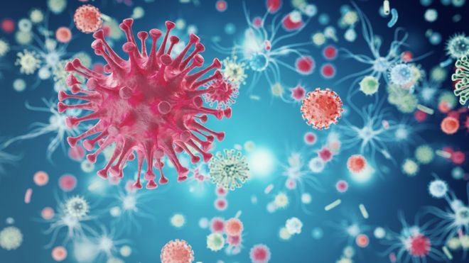 Struttura tridimensionale del virus del HIV responsabile della sindrome di Aids.  