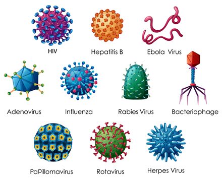 Illustrazione contenente diversi tipi di virus (credit: Focus)