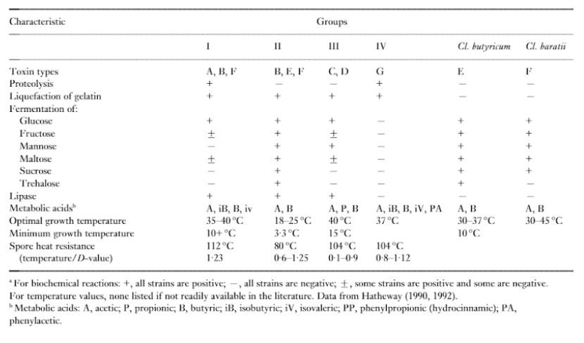 Rappresentazione dei 4 gruppi di Clostridium botulinum