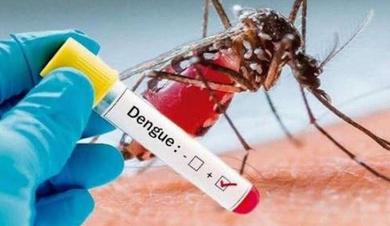 Dengue trasmessa dalle punture di zanzare