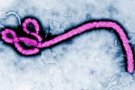 Ebola