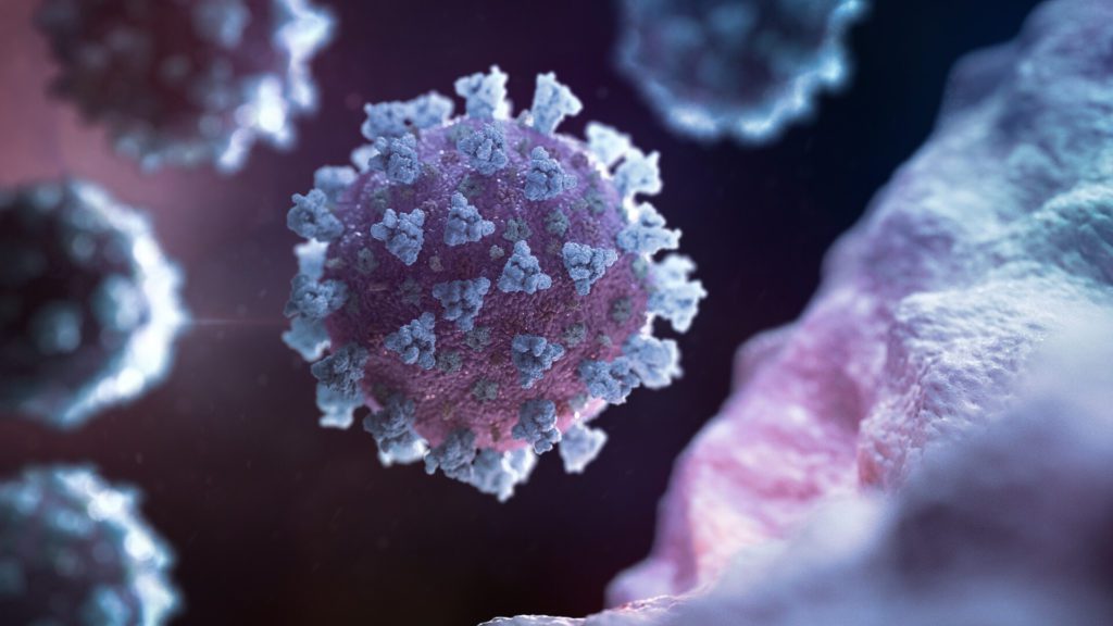 Virus SARS-CoV-2