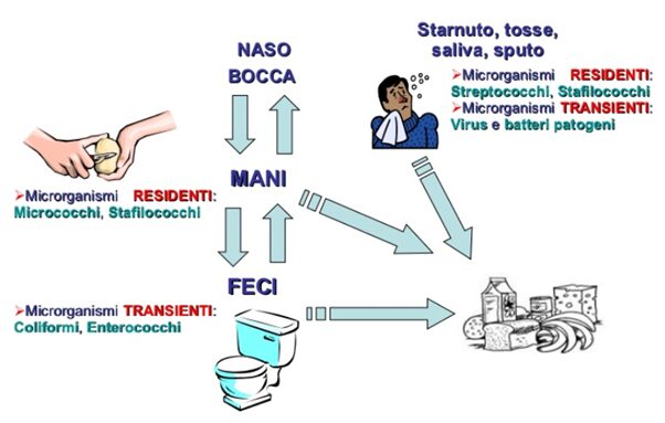 fonti di contaminazione umana