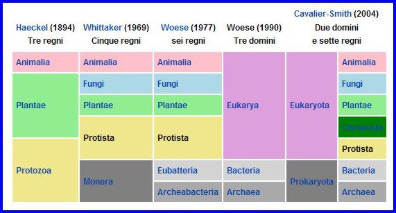 le diverse classificazioni dei viventi negli anni. archea e batteri 