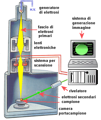  Schema generale di funzionamento di un microscopio elettronico SEM