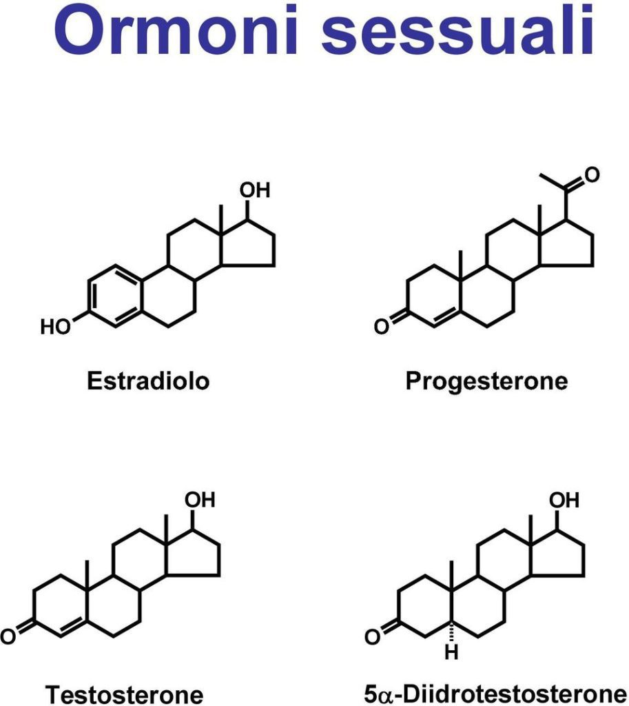 Gli ormoni sessuali maschili e femminili hanno come precursore il colesterolo ed appartengono alla categoria degli steroidi. Microbiota