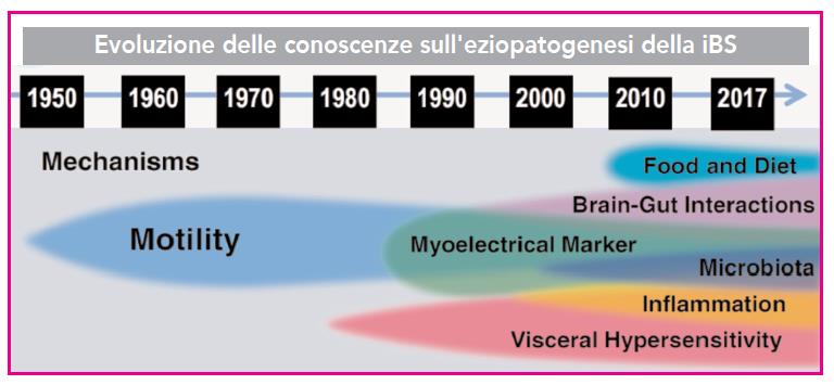 Le conoscenze sull'eziopatogenesi della sindrome del colon irritabile hanno avuto una evoluzione negli ultimi 30 anni in relazione alle nuove conoscenze sul ruolo svolto dal microbiota nell'asse intestino-cervello.