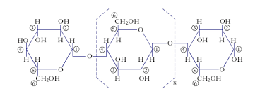 Fig.2 - Struttura chimica del polimero naturale della cellulosa prodotta dall'impiego di batteri acetici