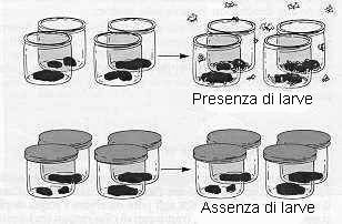 schema degli esperimenti di Francesco Redi e Lazzaro Spallanzani sulla generazione spontanea