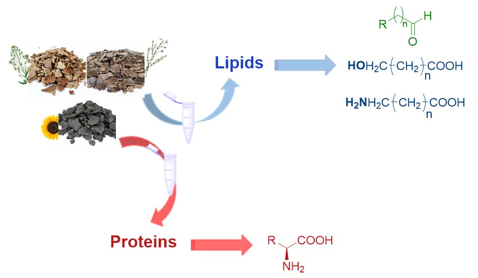 Bioprocesso innovativo per la produzione di prodotti a base biologica a partire da panelli industriali mediante biocatalisi