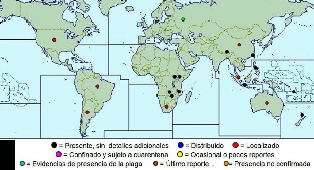 Mappa geografica distribuzione infezione