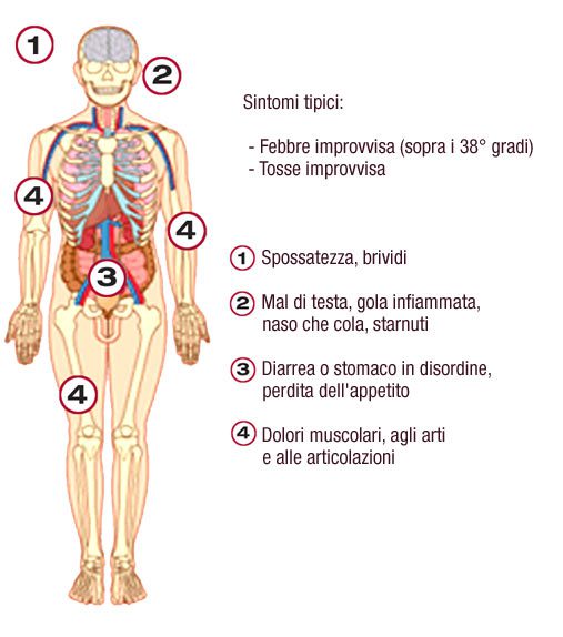  Sintomi tipici dell'influenza