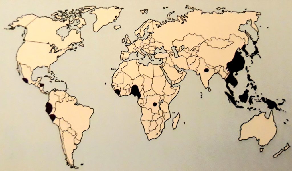 Distribuzione geografica dei vermi del genere Paragonimus