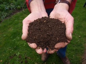 Il compost, ottenuto da materiale organico, è il prodotto di partenza per ottenere il tè di compost.