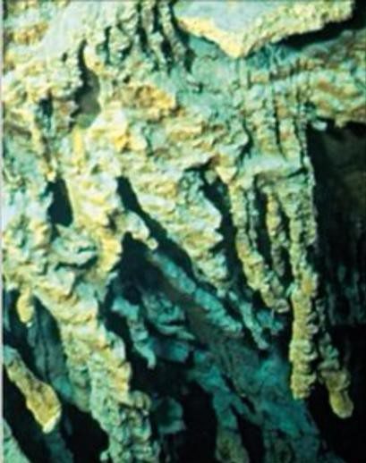 Particolare del rusticle del Titanic