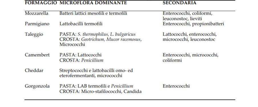 Figura 4 - formaggi e microflora dominante