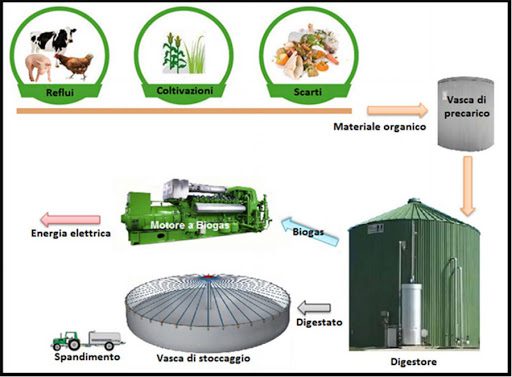 Rappresentazione schematica delle componenti principali di un impianto industriale di digestione anaerobica.