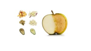 FCP: i vegetali pronti, freschi e belli grazie ai batteri