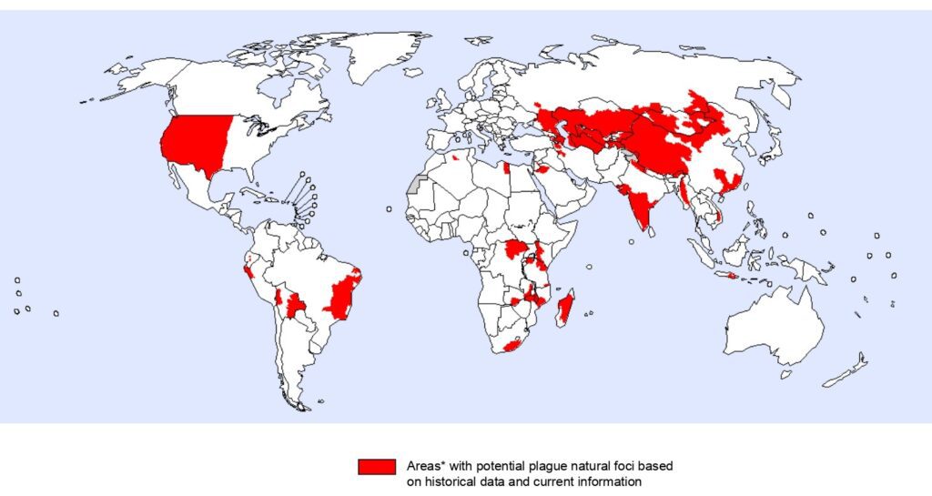 Rappresentazione dei casi di peste nel 2016 nel mondo.