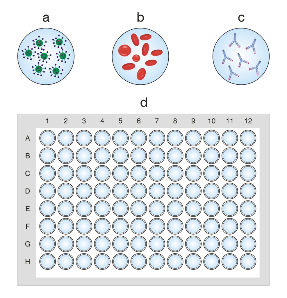 L'immagine presenta un esempio di virus emoagglutinante, globuli rossi,anticorpi specifici e una piastra da microtitolazione da 96 pozzetti per effettuare i test di emagglutinazione ed inibizione dell'emoagglutinazione.