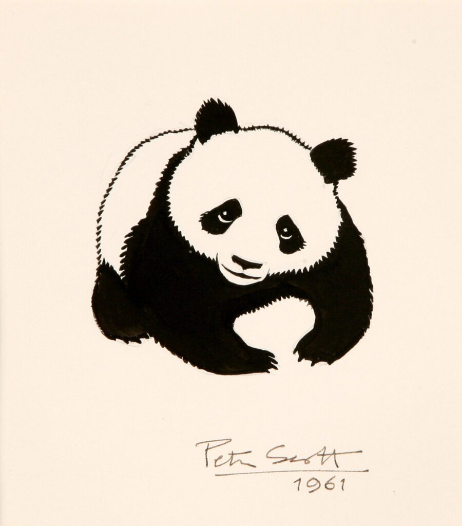 Il panda, disegnatato, per il WWF, da Sir Peter Scott, da oggi rappresenterà anche un modello di comunicazione olfattiva, mediante i chemosegnali.