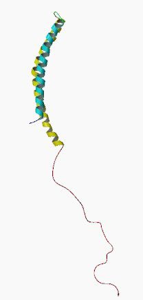 struttura tipica della proteina alfa-sinucleina coinvolta nella formazione dei corpi di lewy