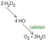 Reazione catalizzata dalla catalasi