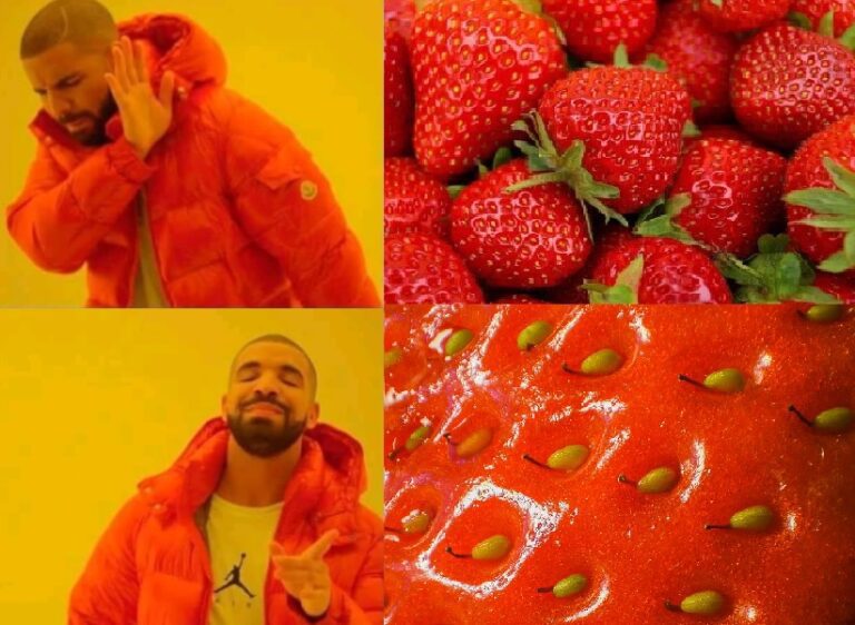 Frutti E falsi Frutti Tra Il Commercio E Botanica Quali Sono Le 