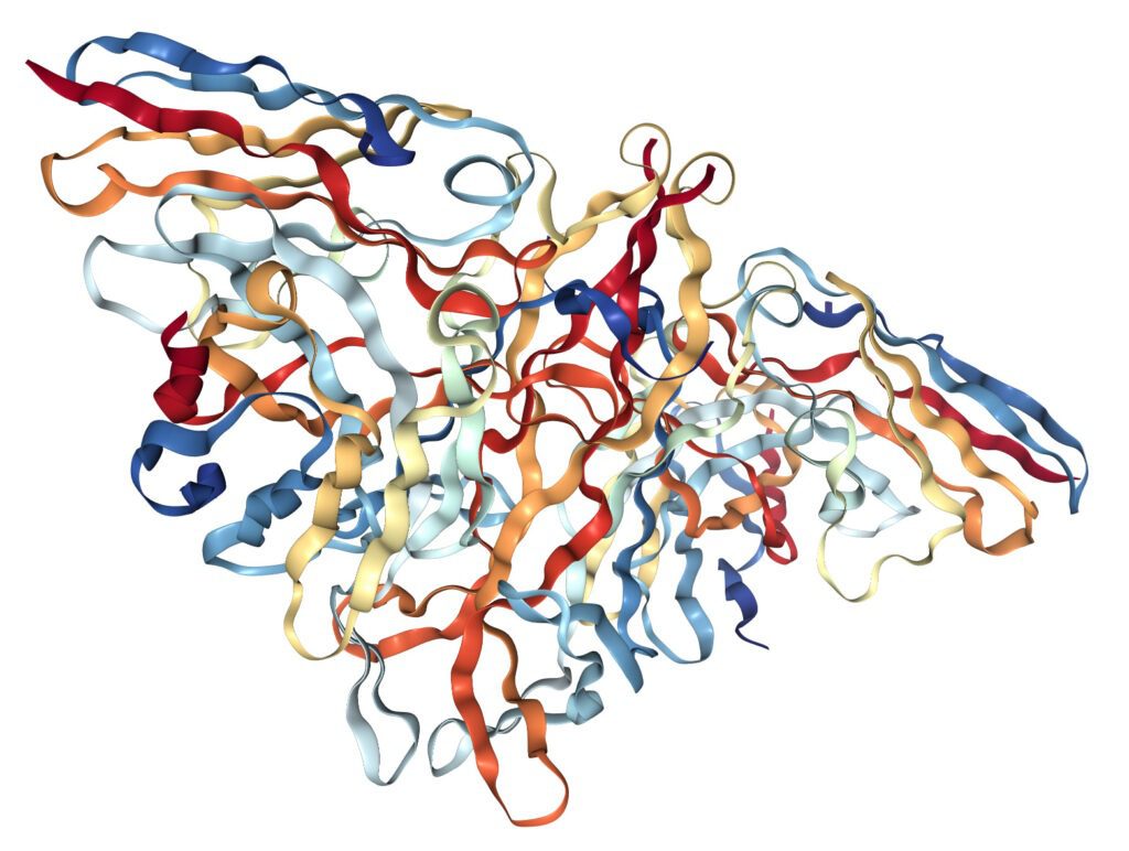 Nerve Growth Factor 