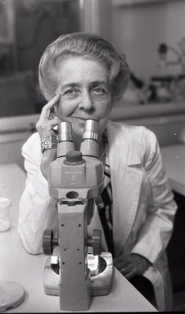 Rita levi Montalcini ed il microscopio 