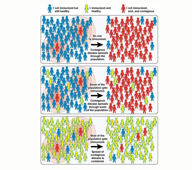 Representation of the diffusion of infectious disease in a community. In the first box the few people (in red) are infected while the rest (in blue) is healthy but not immune: the transmission happens very fast in the group. The intermediate box shows a small number of immune individuals (in yellow): those ones don't get infected, while the others (the ones not immunized) tend to get infected. In the inferior frame, the majority are immune (since they are vaccinated): their presence prevents the diffusion of the disease between the no -immune individuals.
