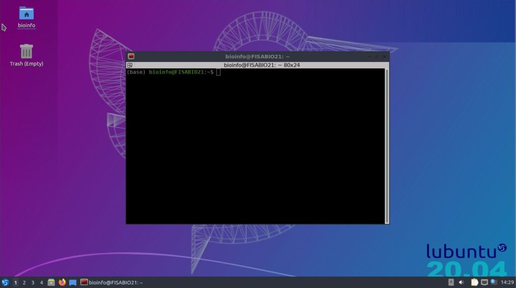Esempio di sistema Linux e di un terminale aperto al centro. Si tratta di un sistema Lubuntu basato su Ubuntu (versione 20.04), molto usato in bioinformatica.