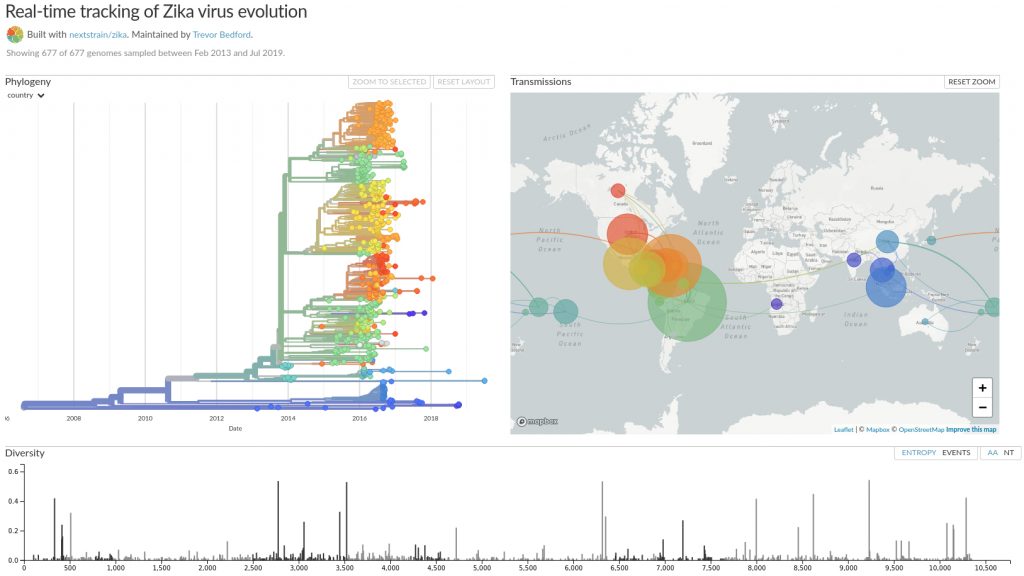 Evoluzione in tempo reale del virus Zika in Brasile e la sua espansione a livello mondiale. Epidemiologia molecolare del virsu Zika, Nextstrain.