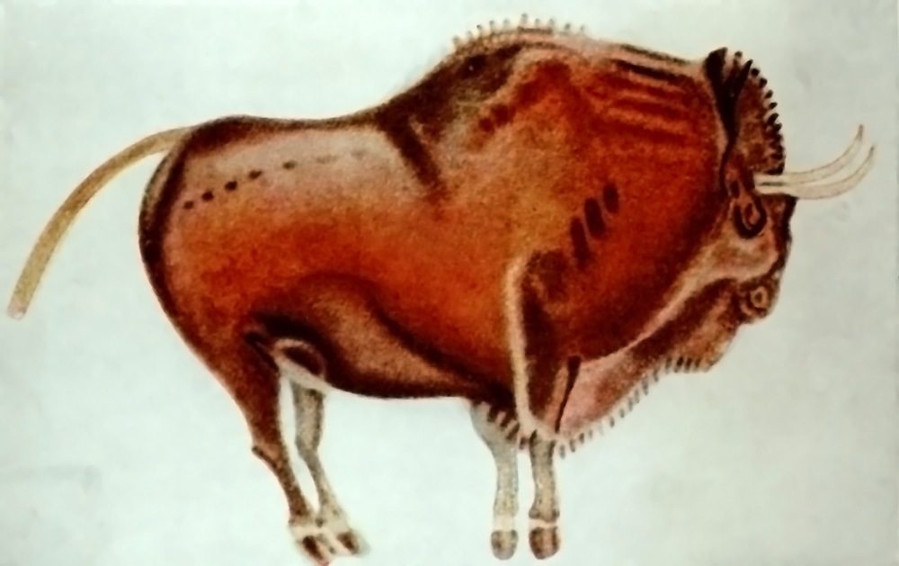 bisonte grotta Altamira