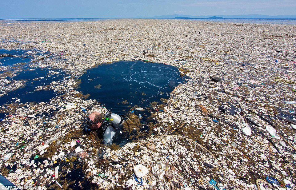 Figura 1 - Il Great Pacific Garbage Patch, noto anche come il vortice dei rifiuti del Pacifico, situato tra gli stati americani di Hawaii e California. 