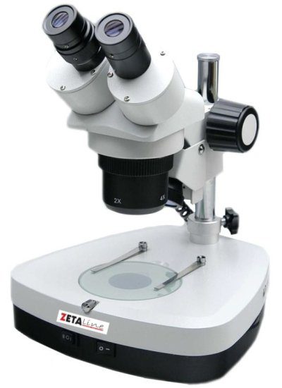 Stereomicroscopio binoculare inclinato