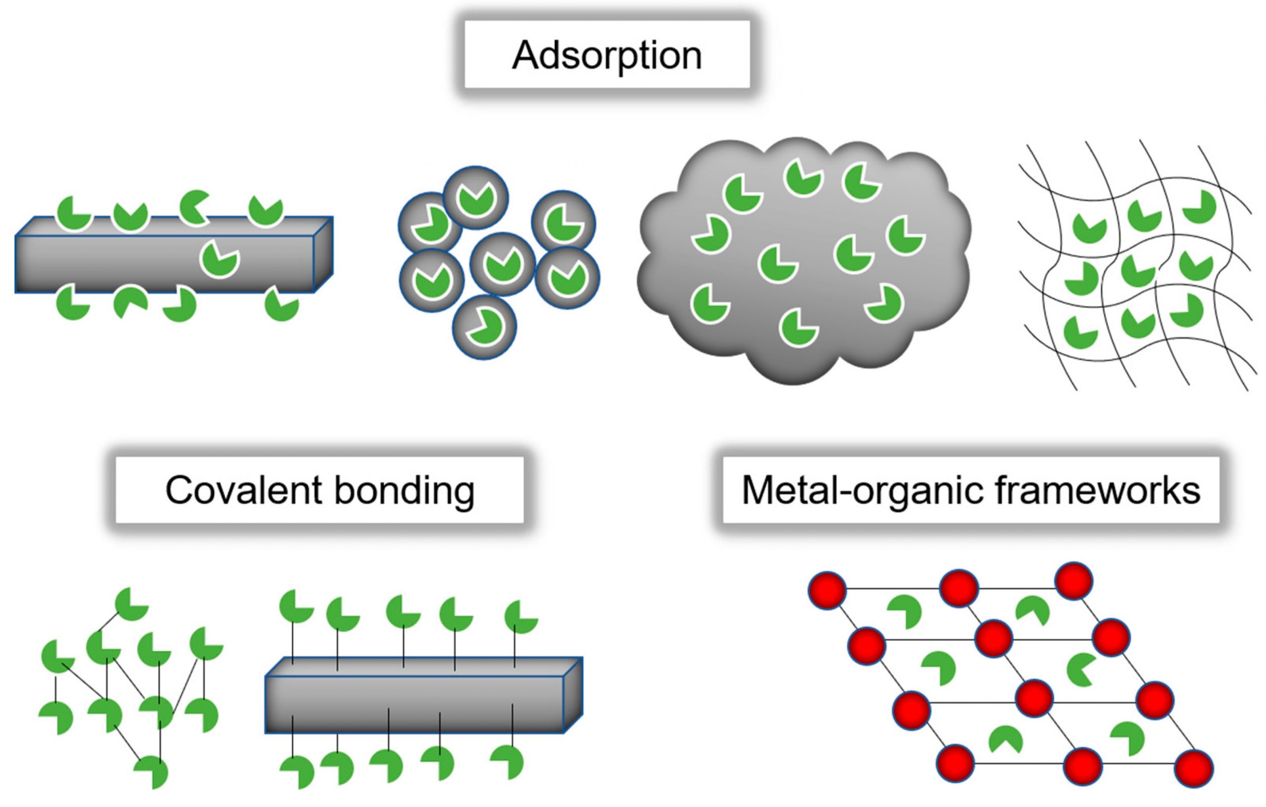Immobilizzazione di biocatalizzatori