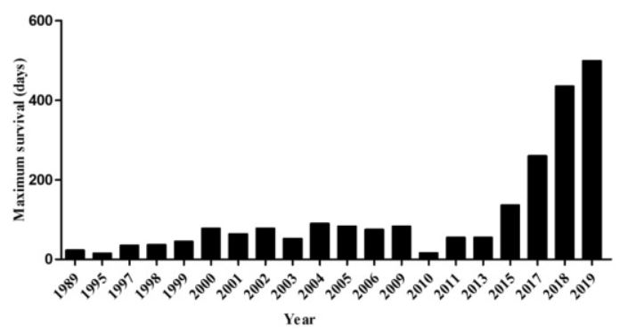 Massima sopravvivenza degli innesti di rene di maiale in grado di sostenere la vita negli NHP dal 1989 al 2019 