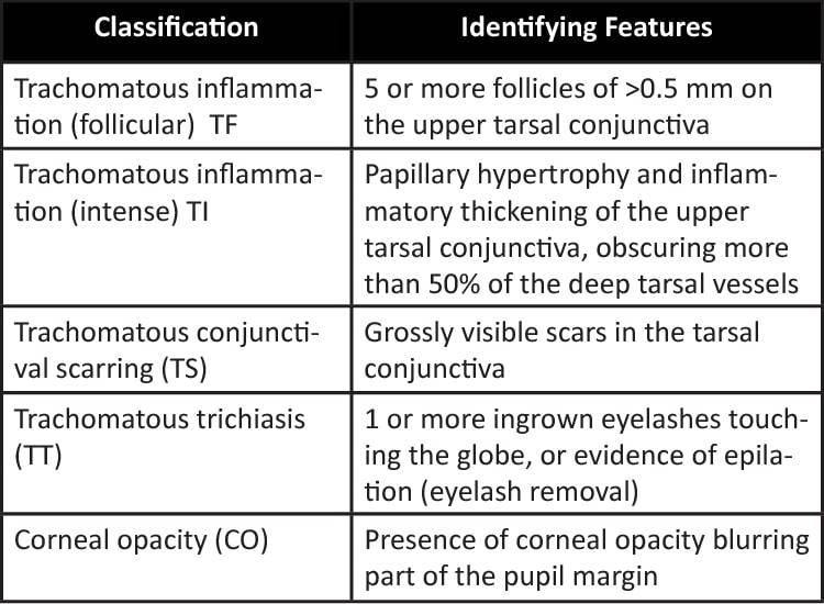 grading tracoma