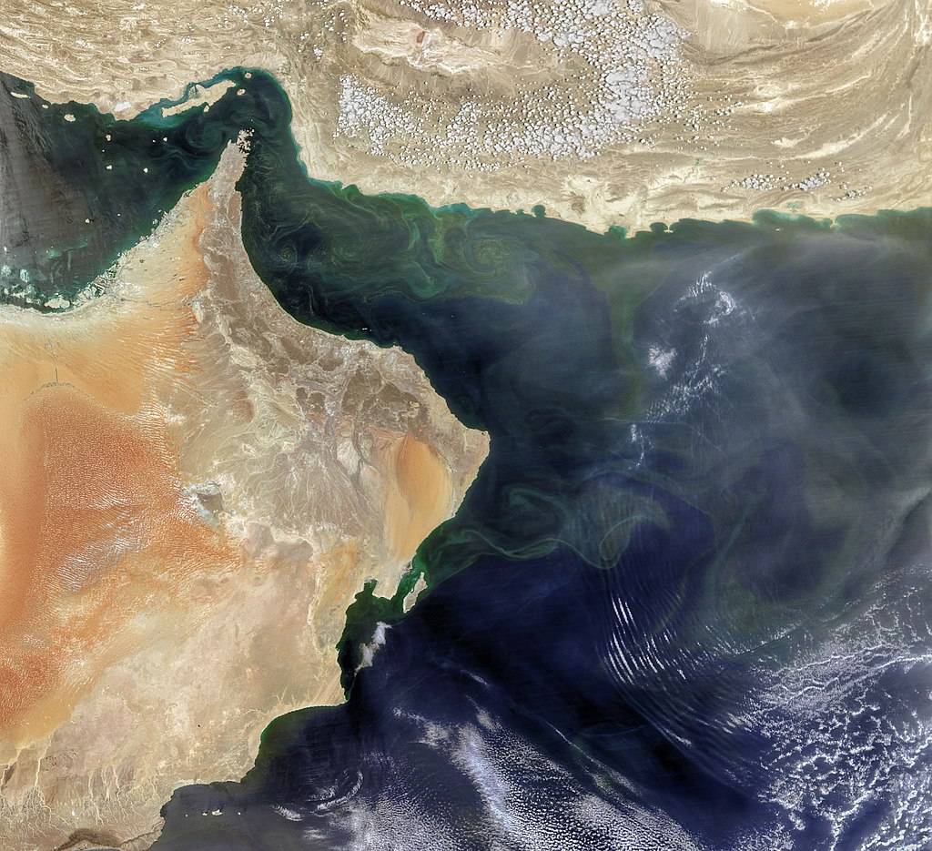 Satellite arabian sea bloom