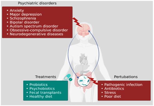 Legame tra disbiosi e disordini neuropsichiatrici